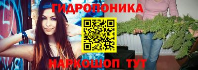 гидра Краснознаменск