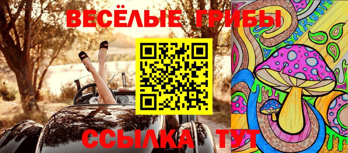 Псилоцибиновые грибы прущие грибы  Вход с VPN  Когалым 