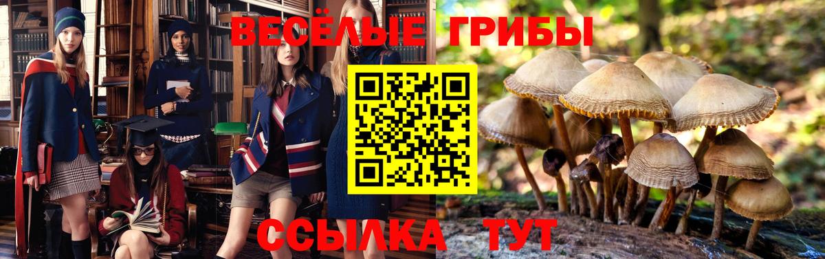 Псилоцибиновые грибы GOLDEN TEACHER Когалым